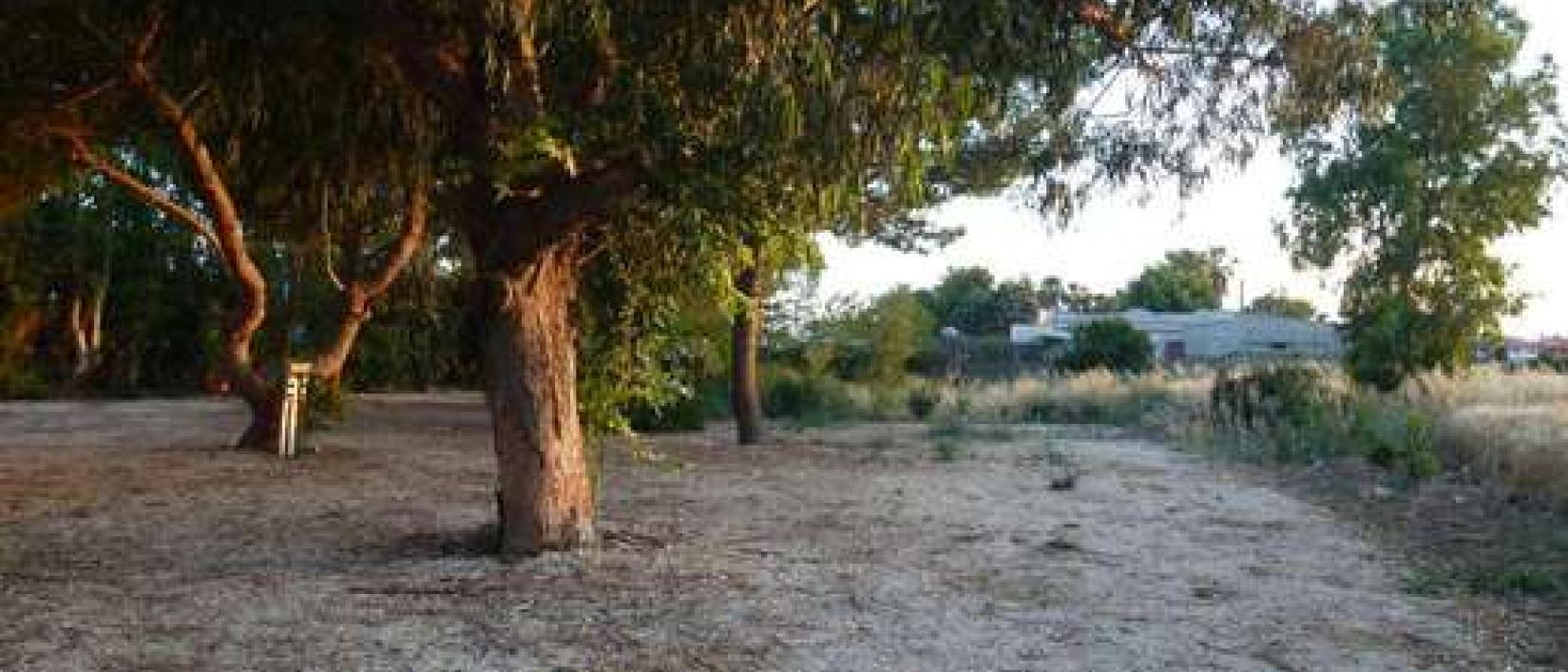 Hoofdfoto Agriturismo Terrauzza Sul Mare