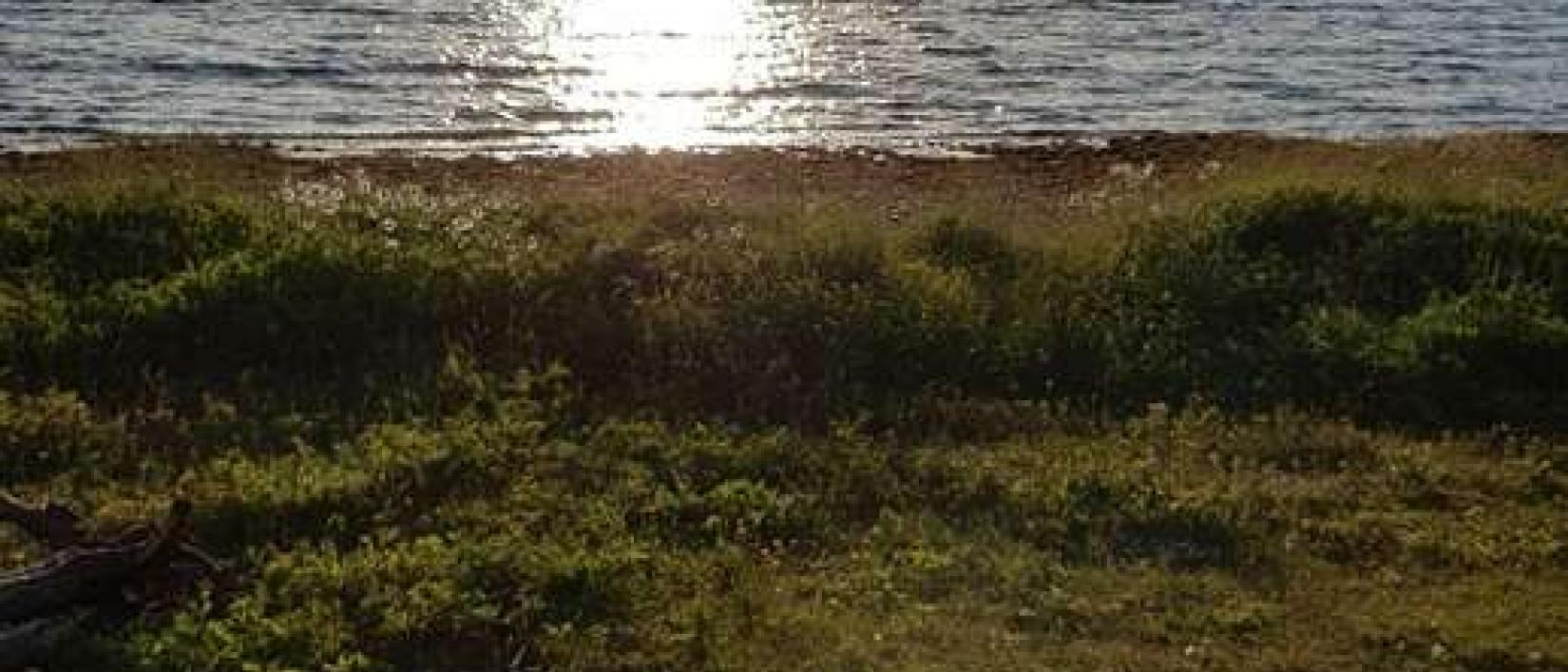 Hoofdfoto Bjørküdveien