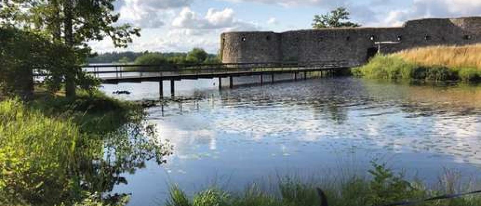 Hoofdfoto Kronoberg schloss Ruine