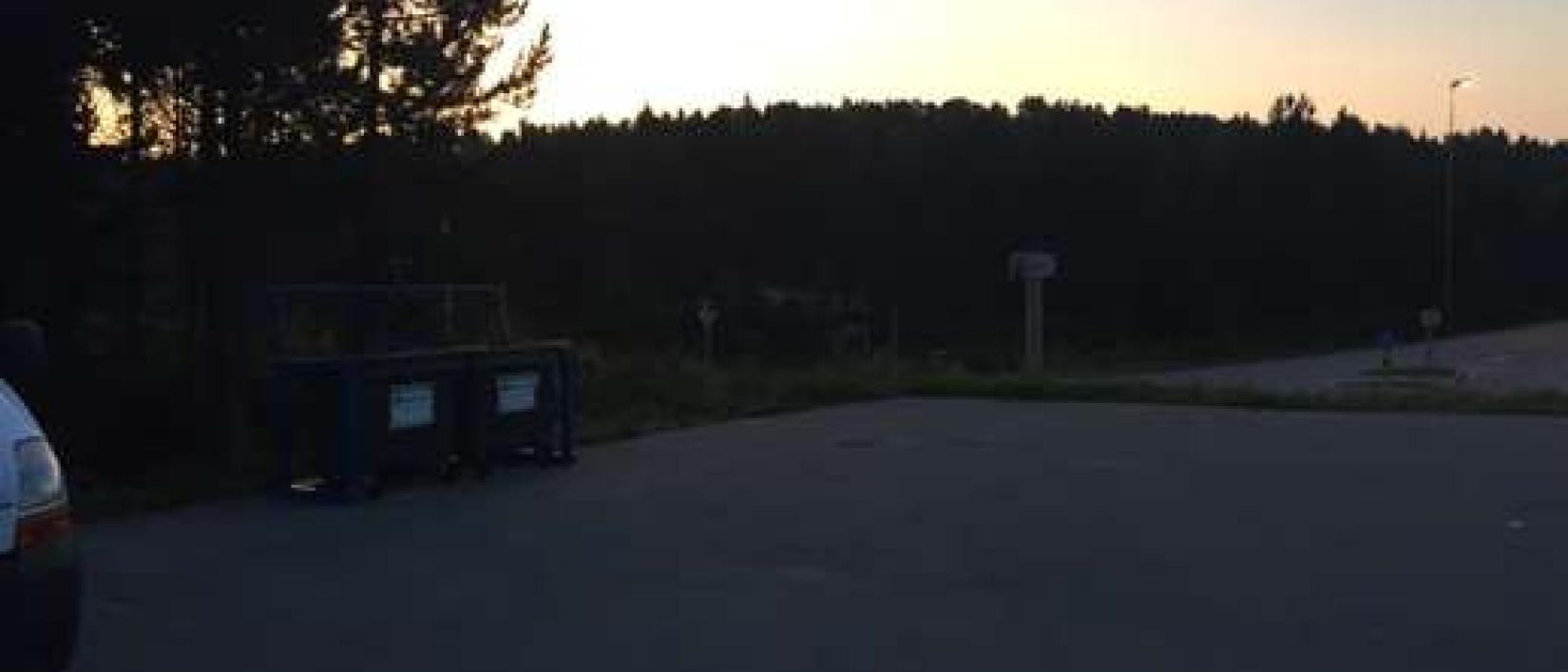 Hoofdfoto Bremsneshola