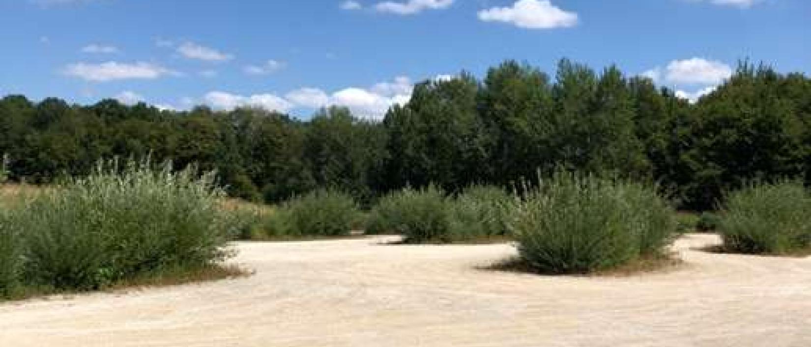 Hoofdfoto Parking VI