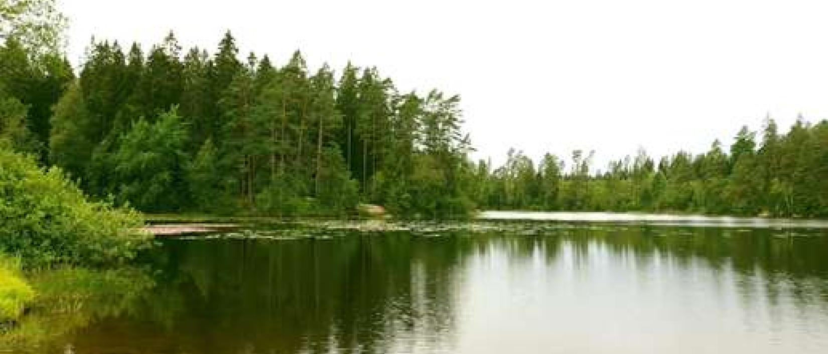 Hoofdfoto Borås