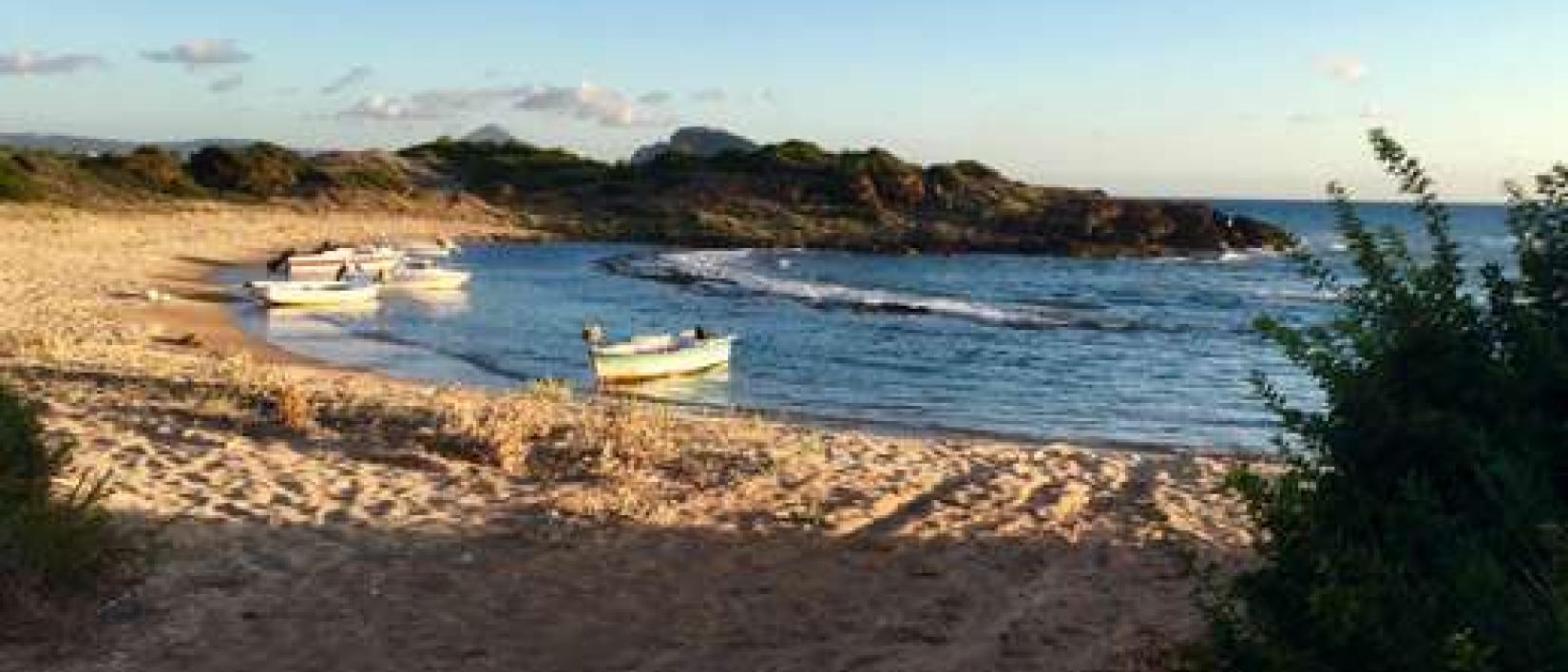 Hoofdfoto Beach