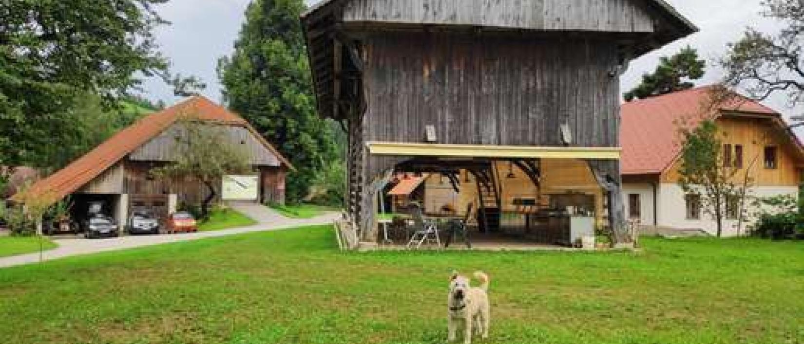 Hoofdfoto Turistfarm Lešnik