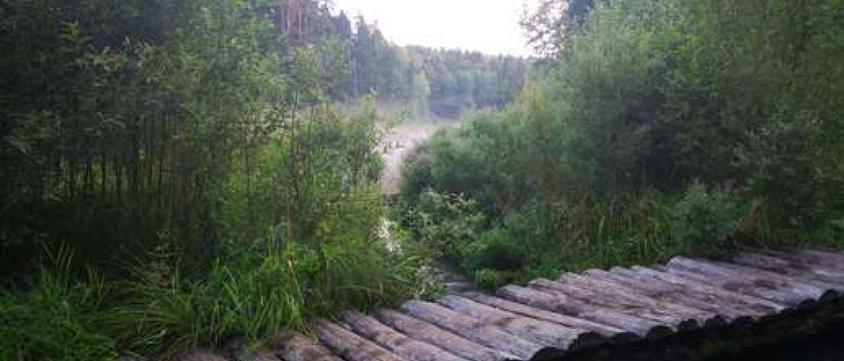 Hoofdfoto Krasnosel
