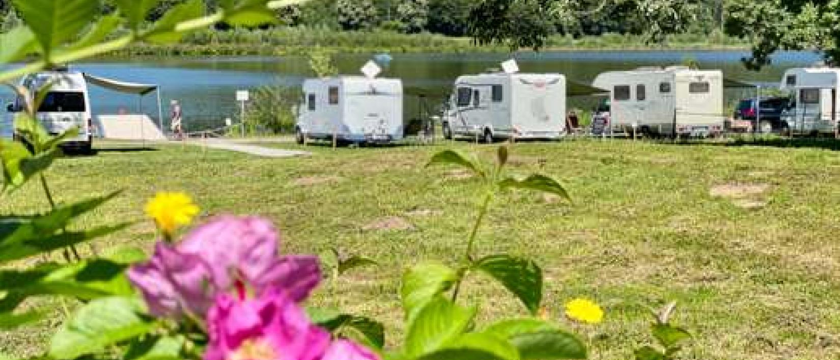 Hoofdfoto Wohnmobilhafen & Campingplatz am SchiederSee
