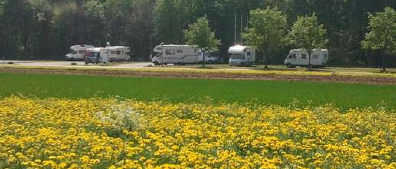 Hoofdfoto Sport- und Freizeitanlage Rietenlau  [Phoenix Reisemobilhafen]