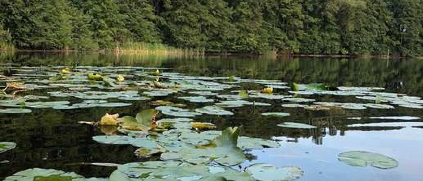 Hoofdfoto Kanufarm am Heegesee