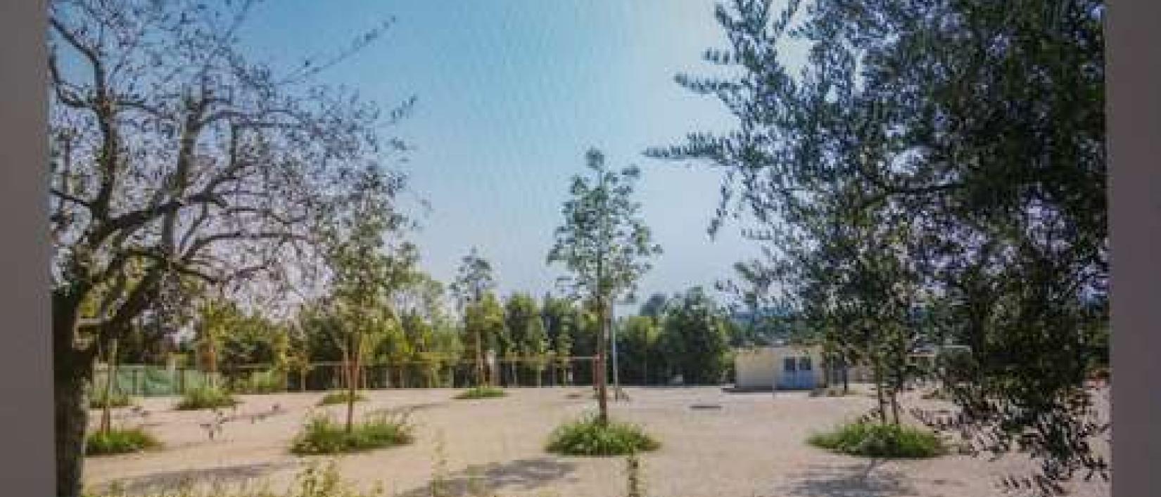 Hoofdfoto Parking Area Camper Lazise