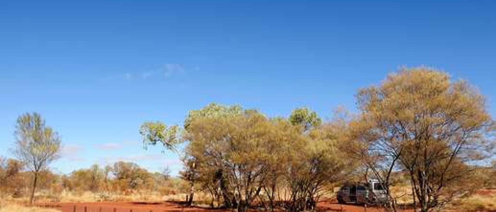Hoofdfoto Dales George Campground