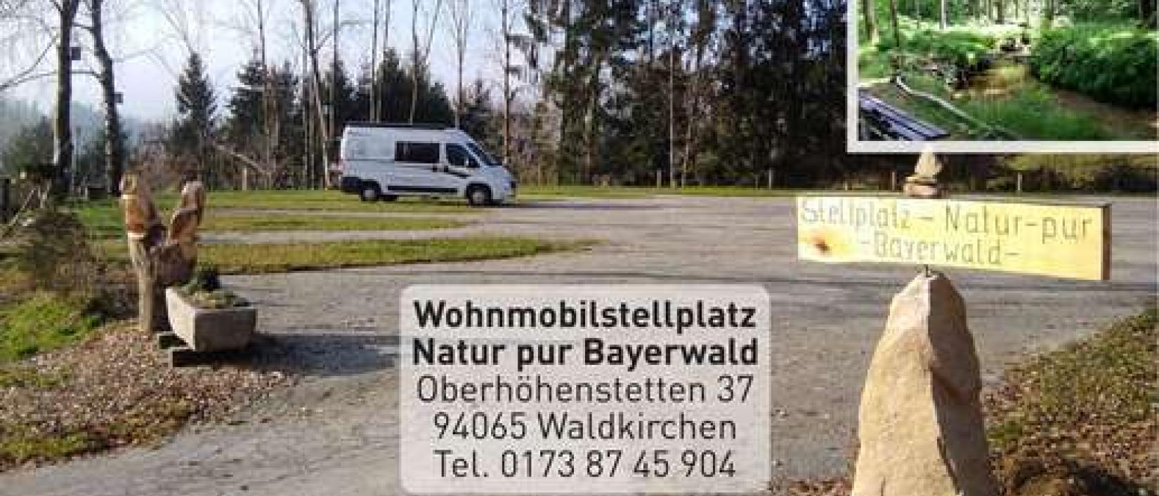 Hoofdfoto Natur pur Bayerwald