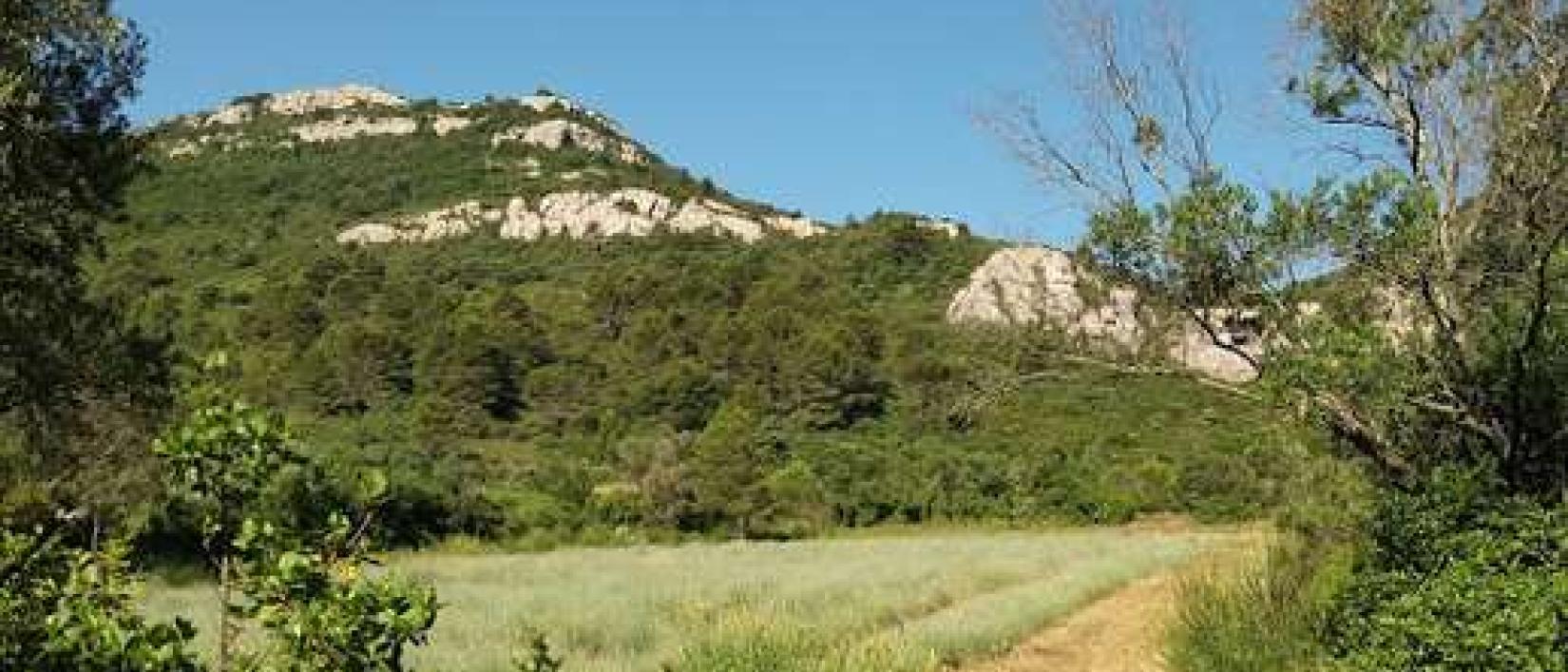 Hoofdfoto Domaine de Sault