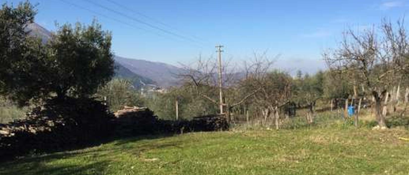 Hoofdfoto Agriturismo Ristorante Il rustico