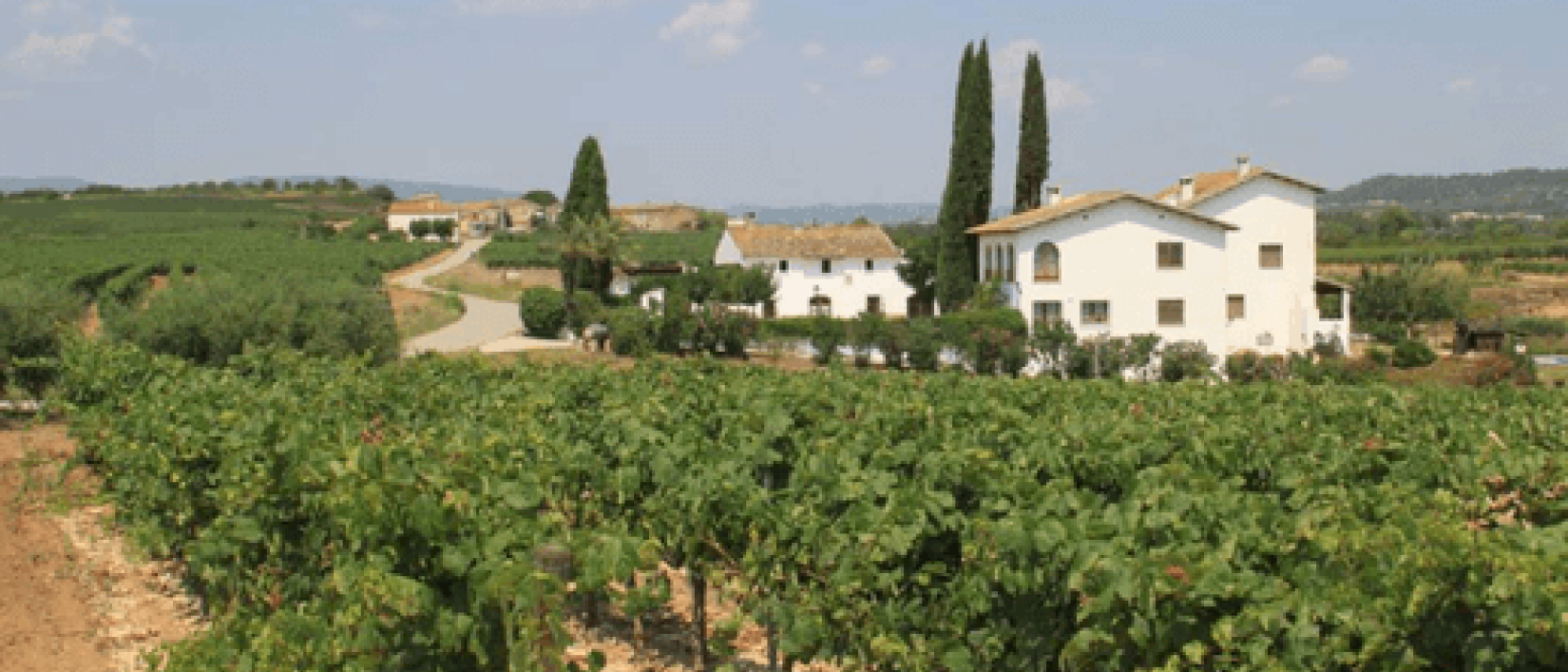 Hoofdfoto Bodega Carol Vallès