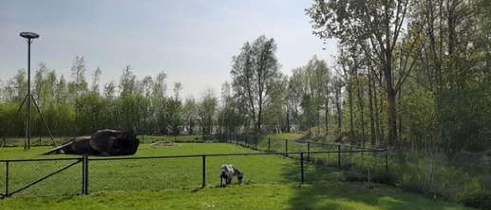 Hoofdfoto Boerderij 't Uiversnest