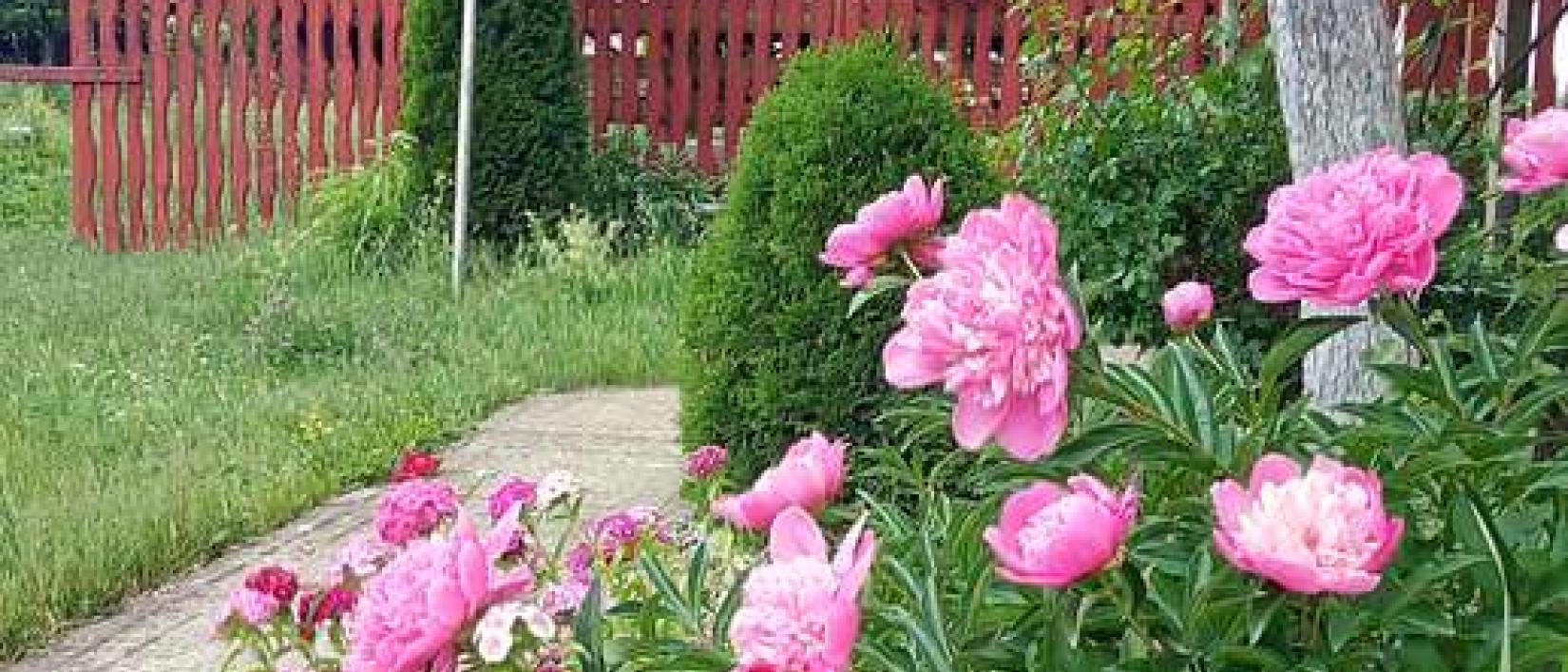 Hoofdfoto Vendel Guesthouse