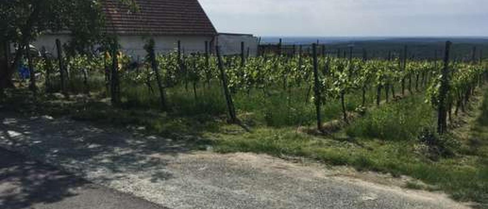 Hoofdfoto Parking Buschenschank Eder