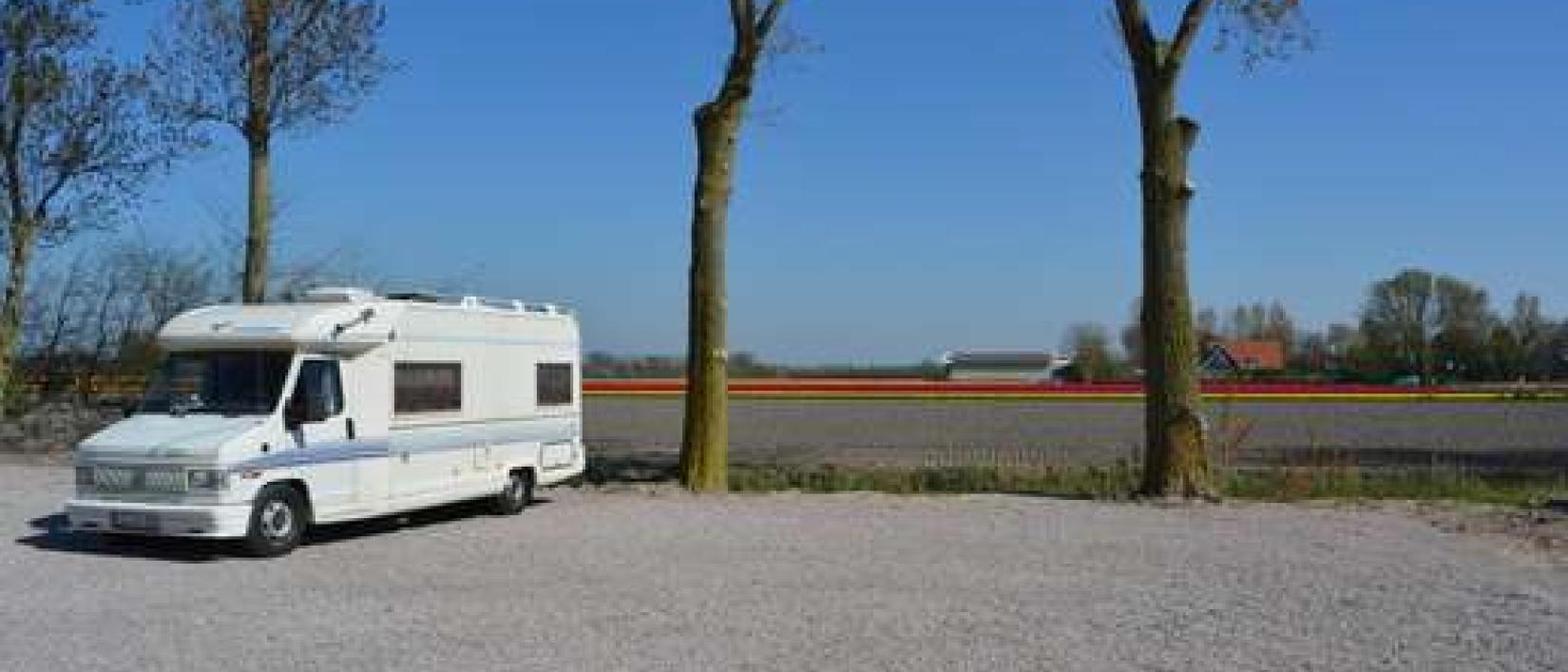 Hoofdfoto Camperplaats bij camping de Tulpenweide