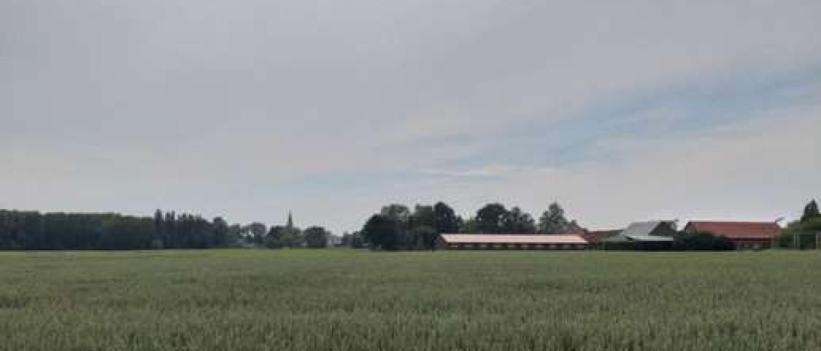 Hoofdfoto Den Boerenhof
