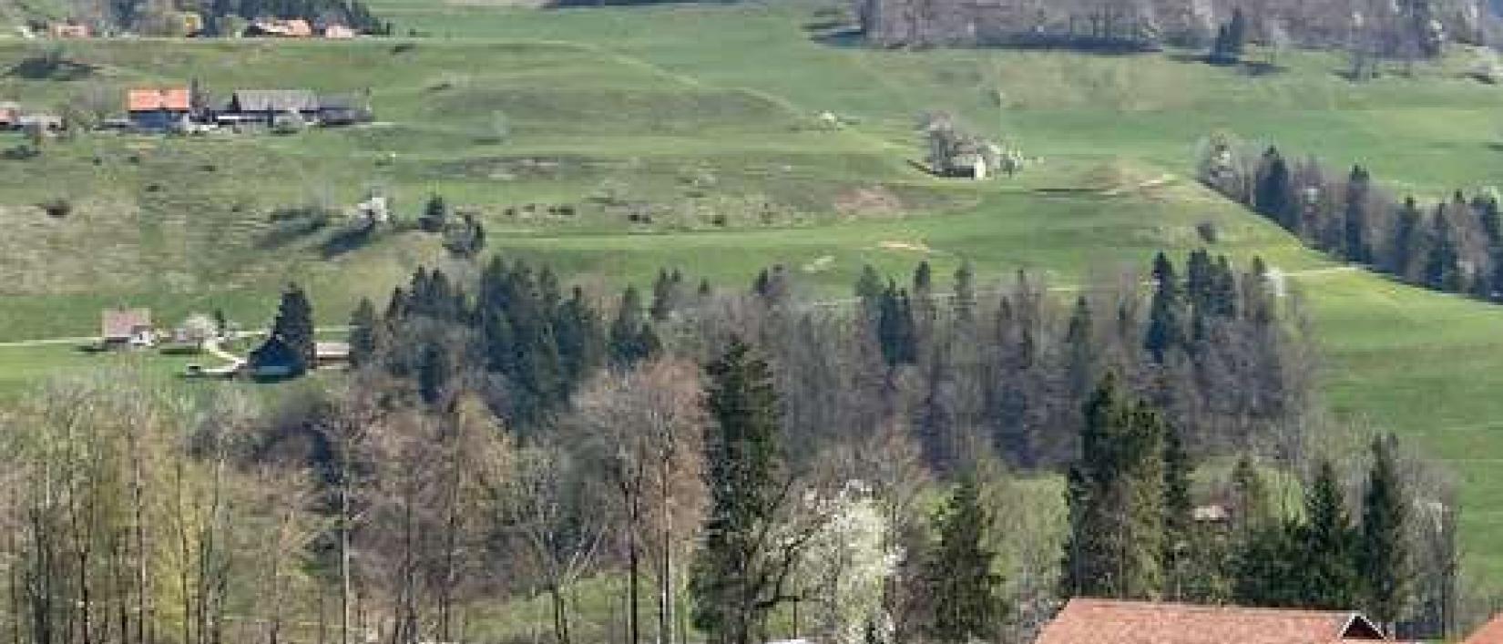 Hoofdfoto Bauernhof Uf Rüti
