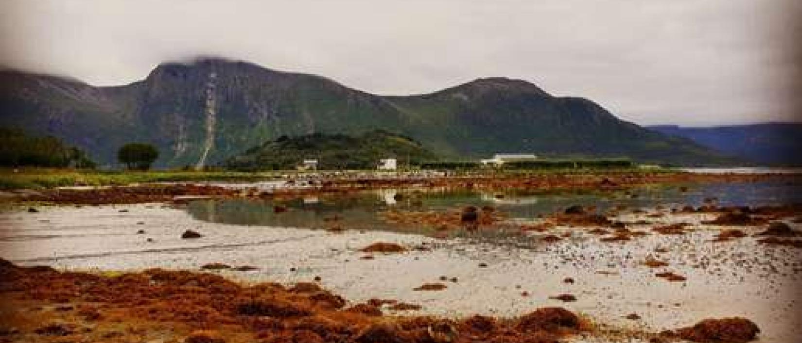 Hoofdfoto Sigerfjord Småbåthavn