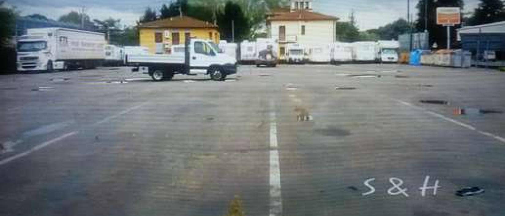 Hoofdfoto Area Comunale