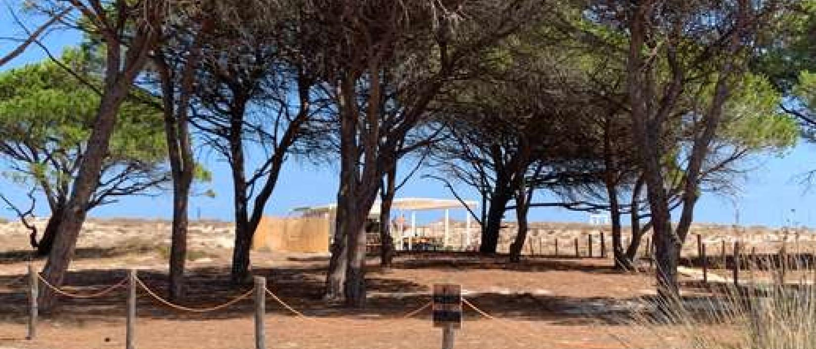 Hoofdfoto Parcheggio Spiaggia Budoni