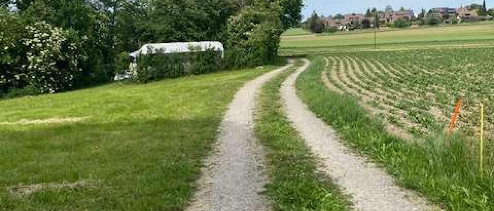 Hoofdfoto Ziegelhof, Hofladen Dinhard
