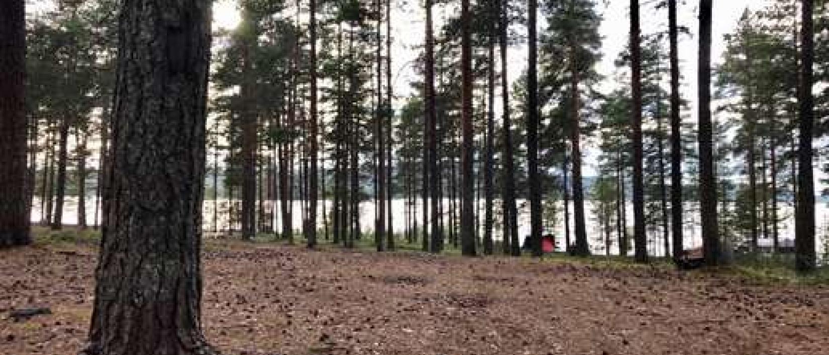 Hoofdfoto Flakasand