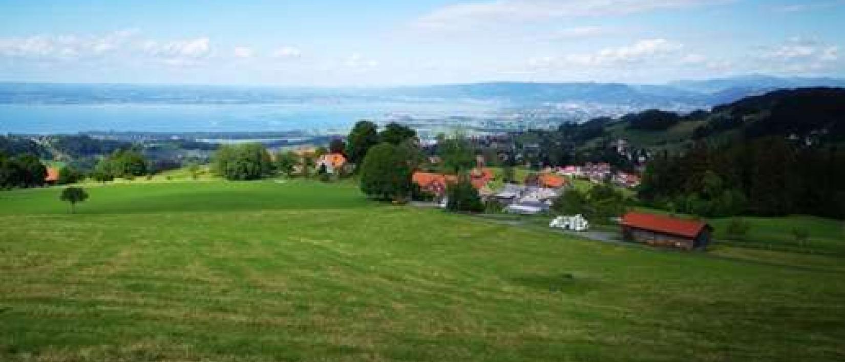 Hoofdfoto Zur Grossen Linde
