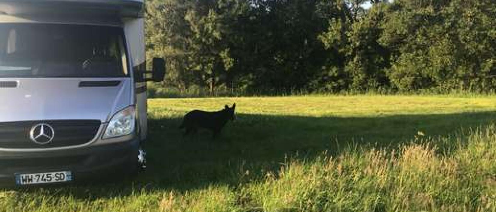 Hoofdfoto Camperplaats Klaverveld