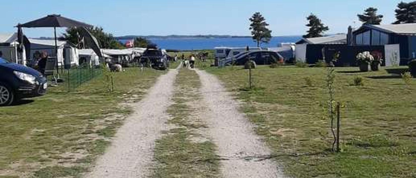Hoofdfoto Løgismosestrand
