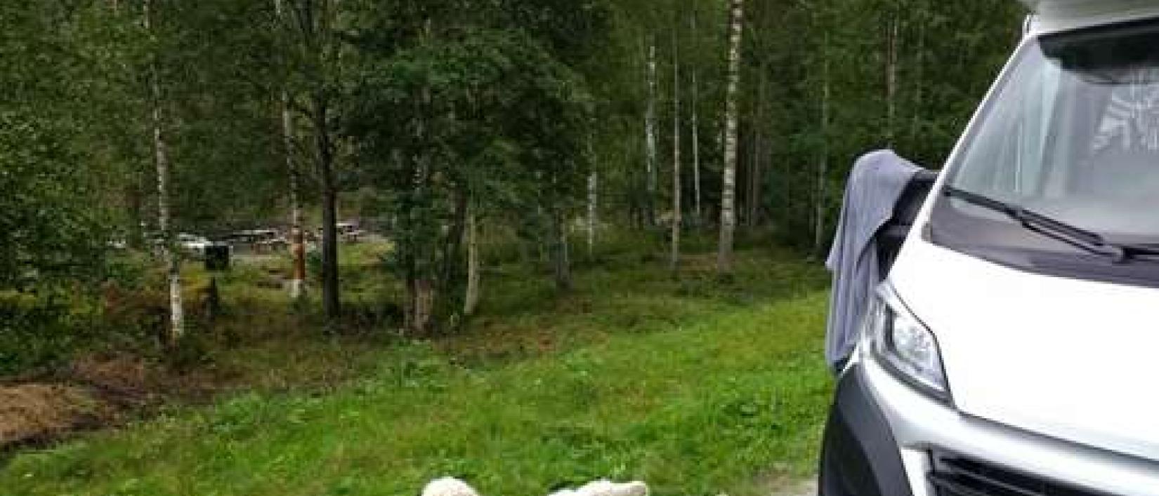 Hoofdfoto Picknickplaats Etnedal