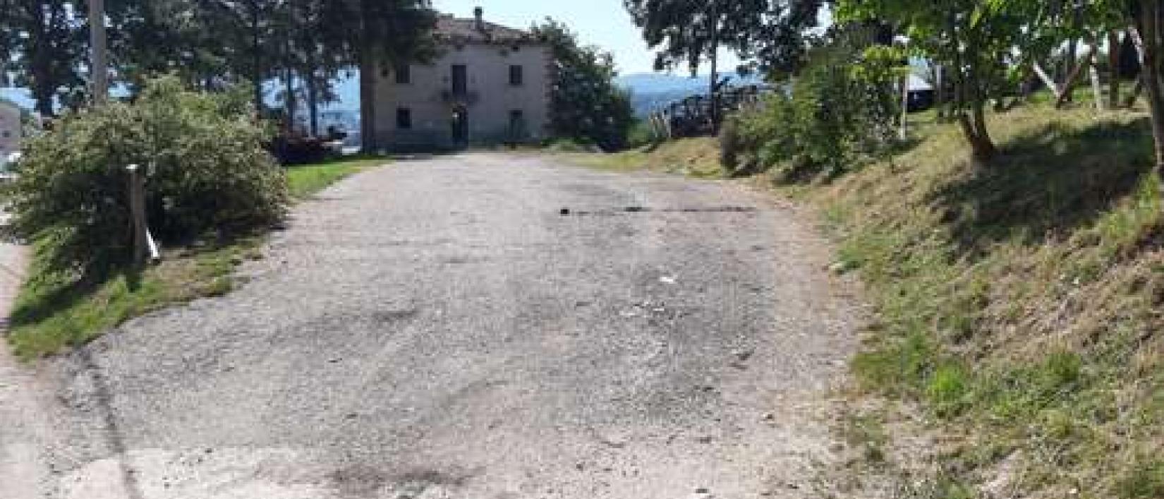 Hoofdfoto Casale Nibbi Azienda Agricola