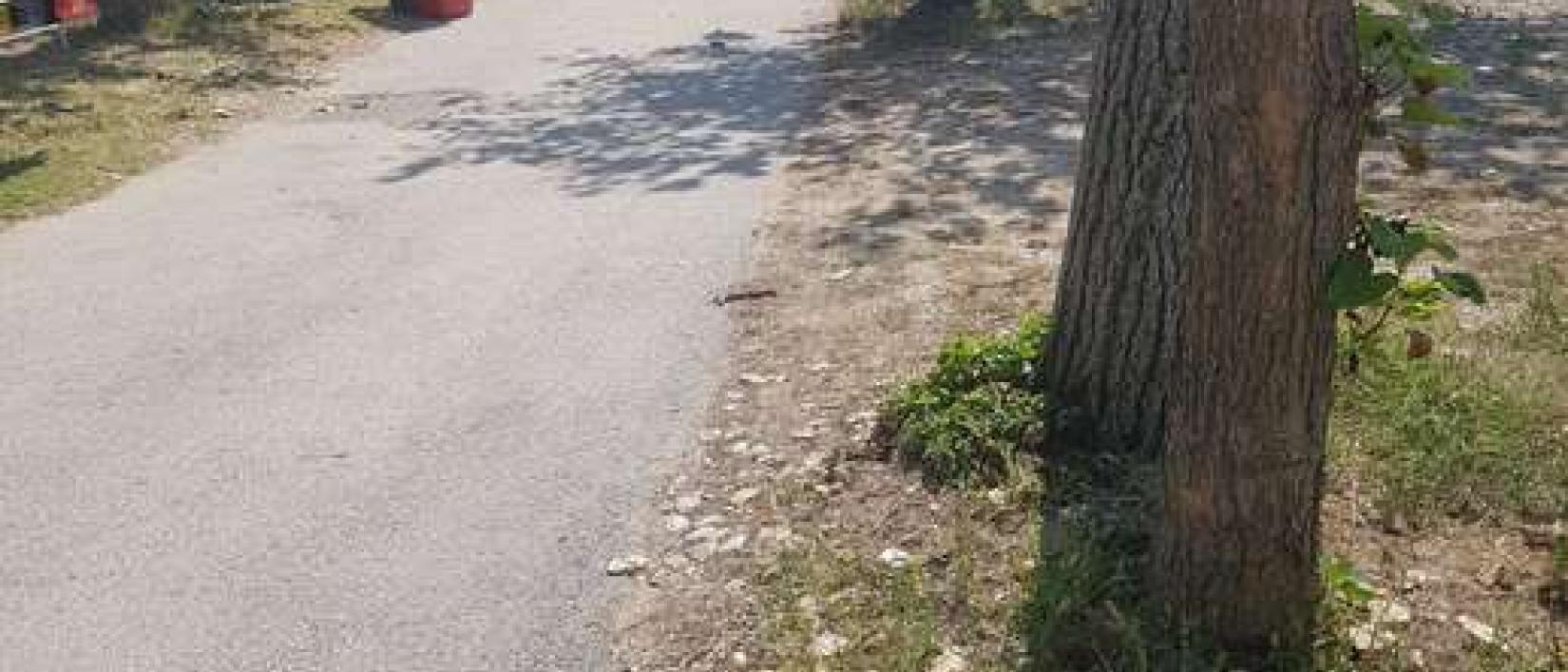 Hoofdfoto Camping Cortina Srl