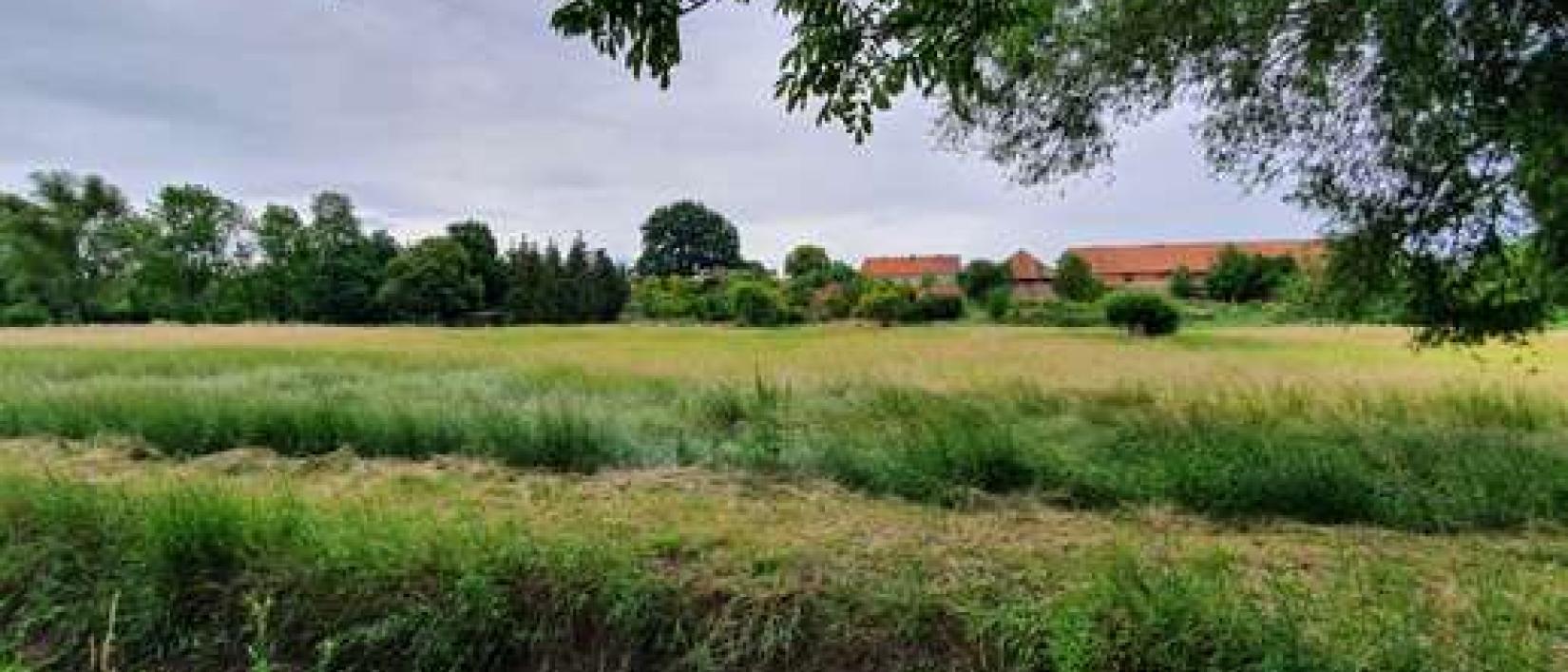 Hoofdfoto Gunsleben