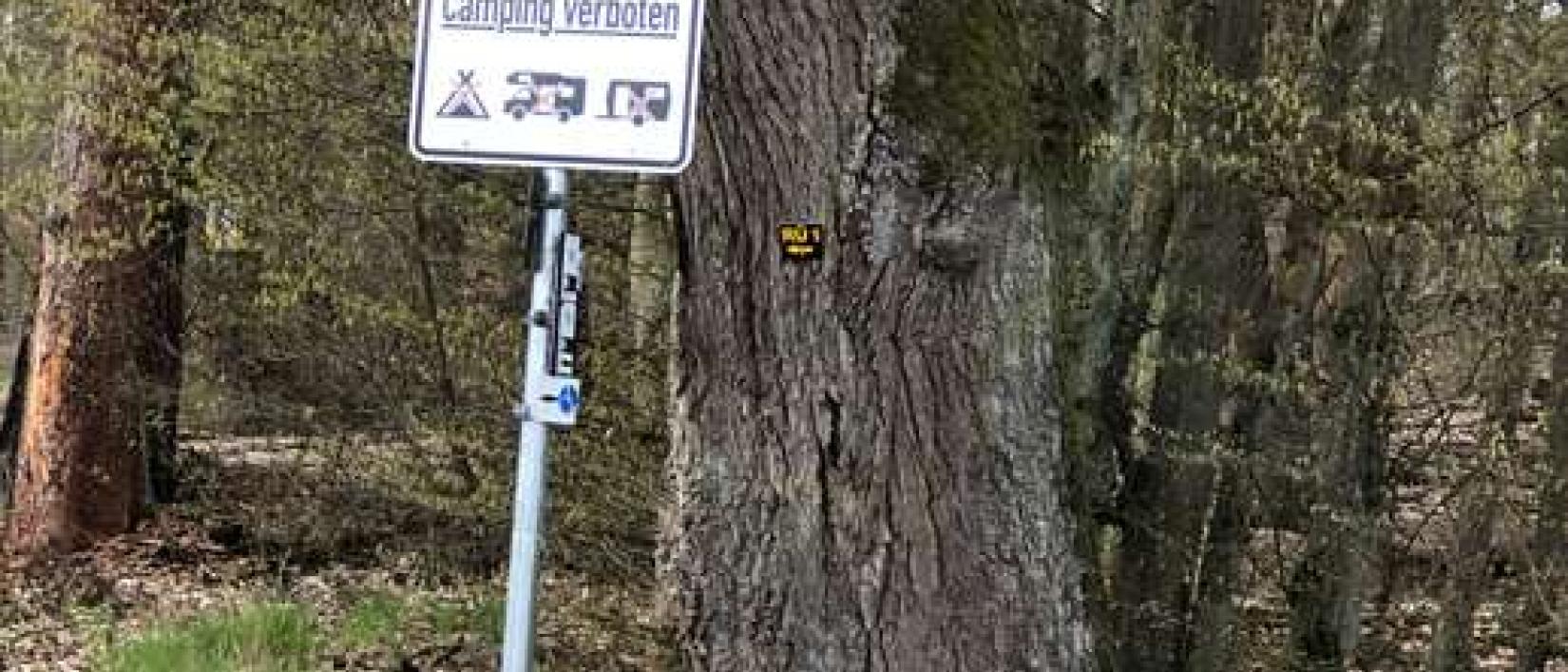 Hoofdfoto Wanderparkplatz Reddehausen