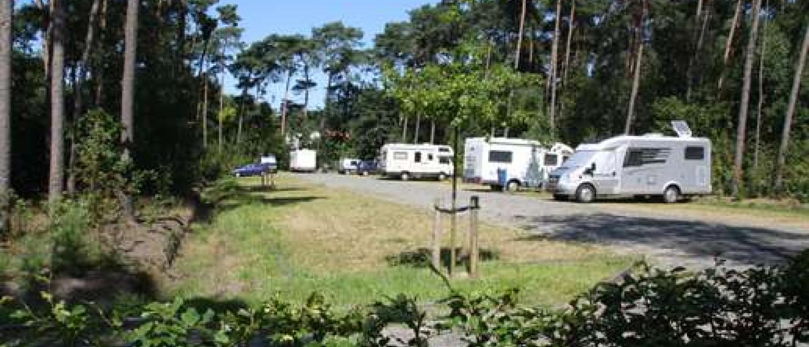 Hoofdfoto Kalmthoutse Heide