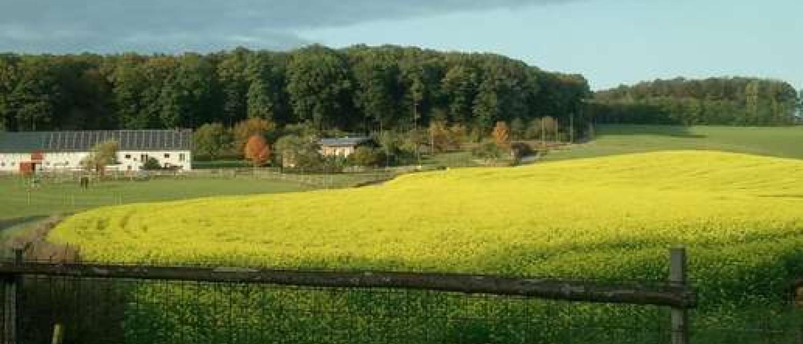 Hoofdfoto Hof Fähringen