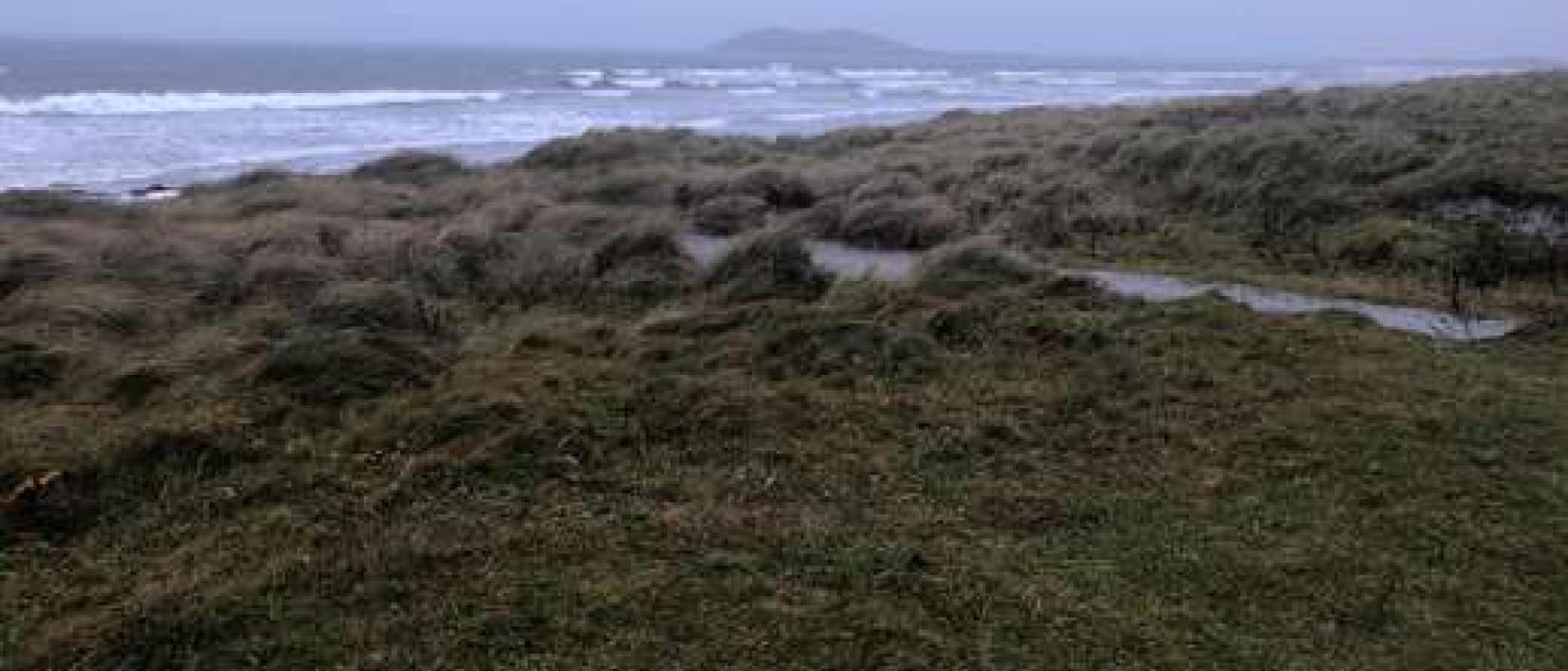Hoofdfoto Parking Gearraidh na Monadh