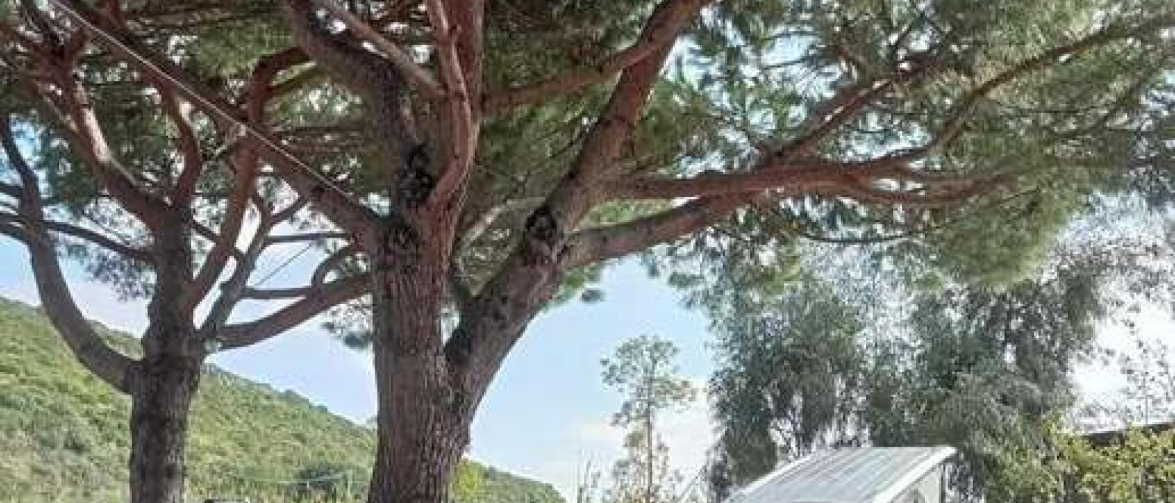 Hoofdfoto Area Sosta Camper Quirino