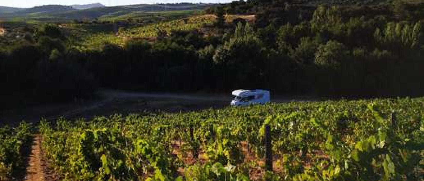 Hoofdfoto Conceito Vinhos