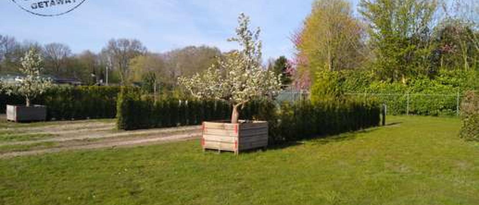 Hoofdfoto Camperplaatsen bij Camping Getaway