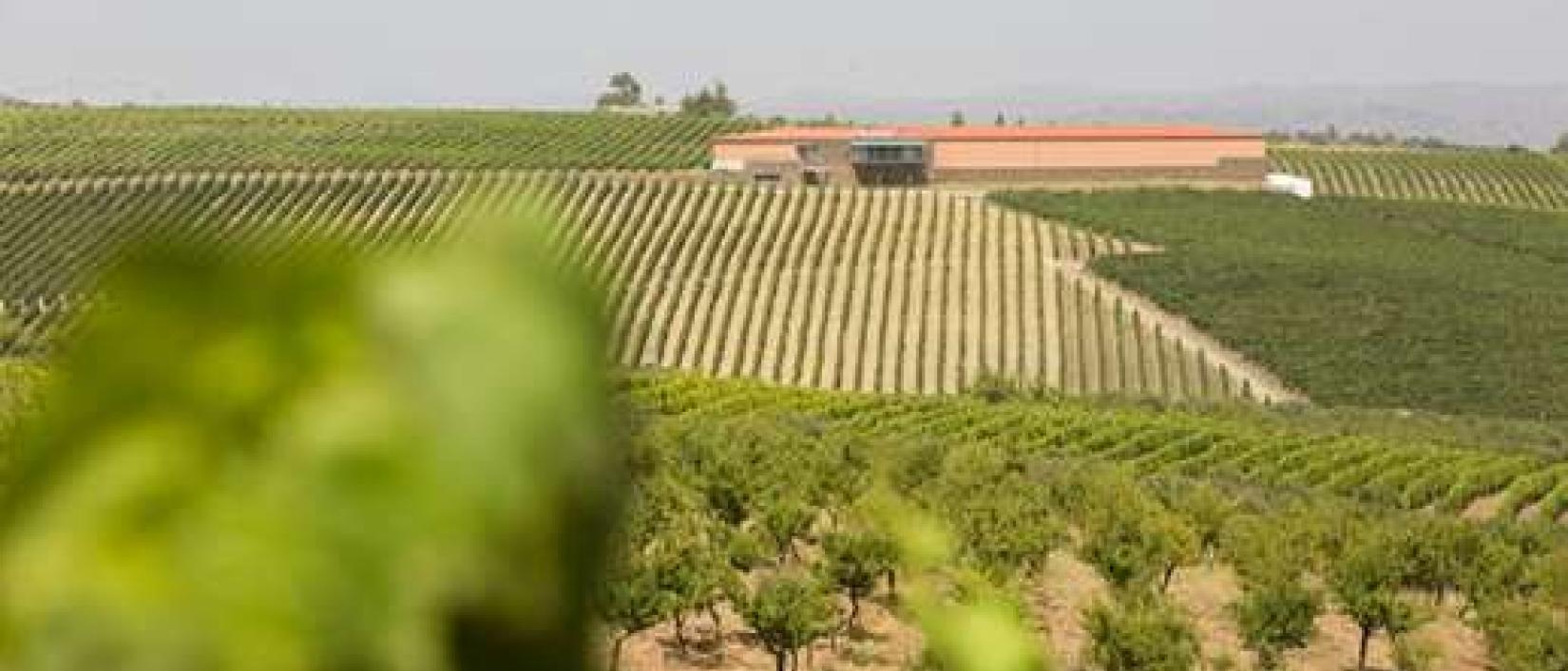 Hoofdfoto Winery Quinta dos Castelares