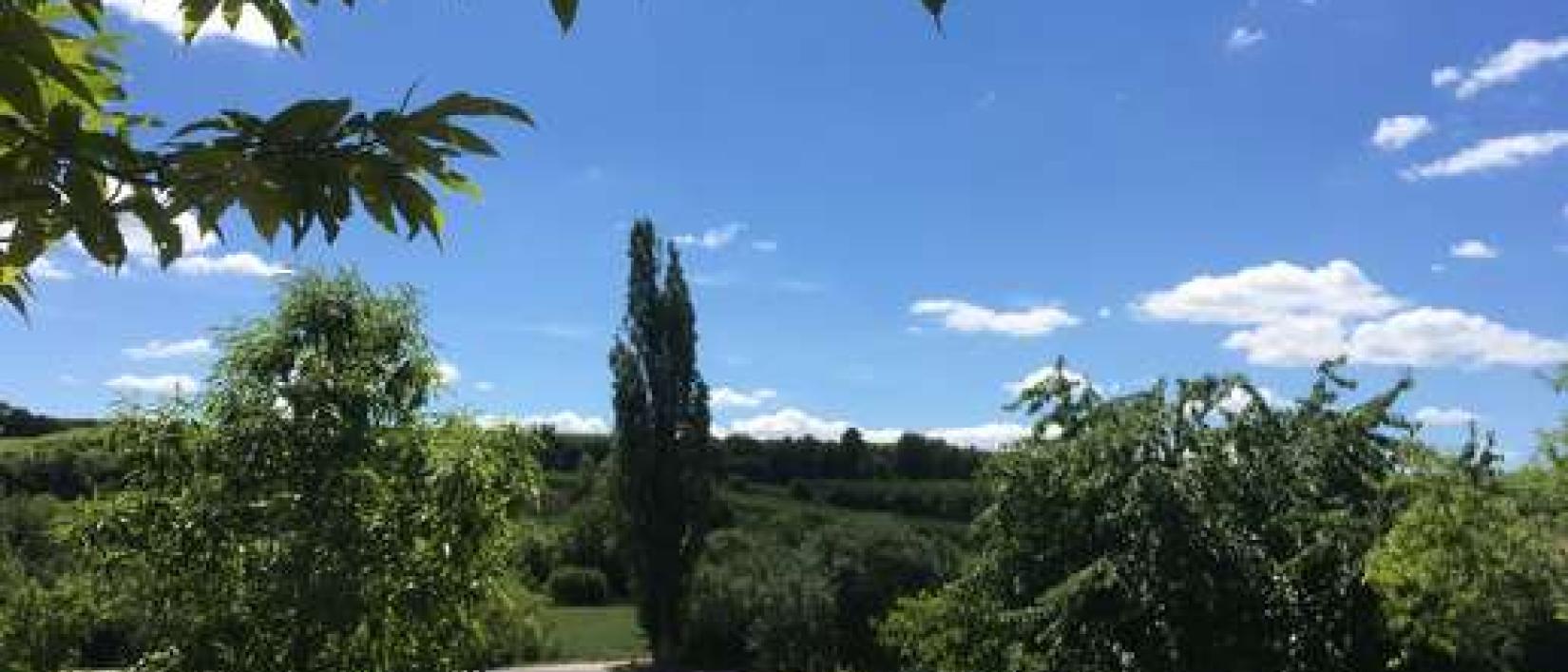 Hoofdfoto Weingut Grittmann