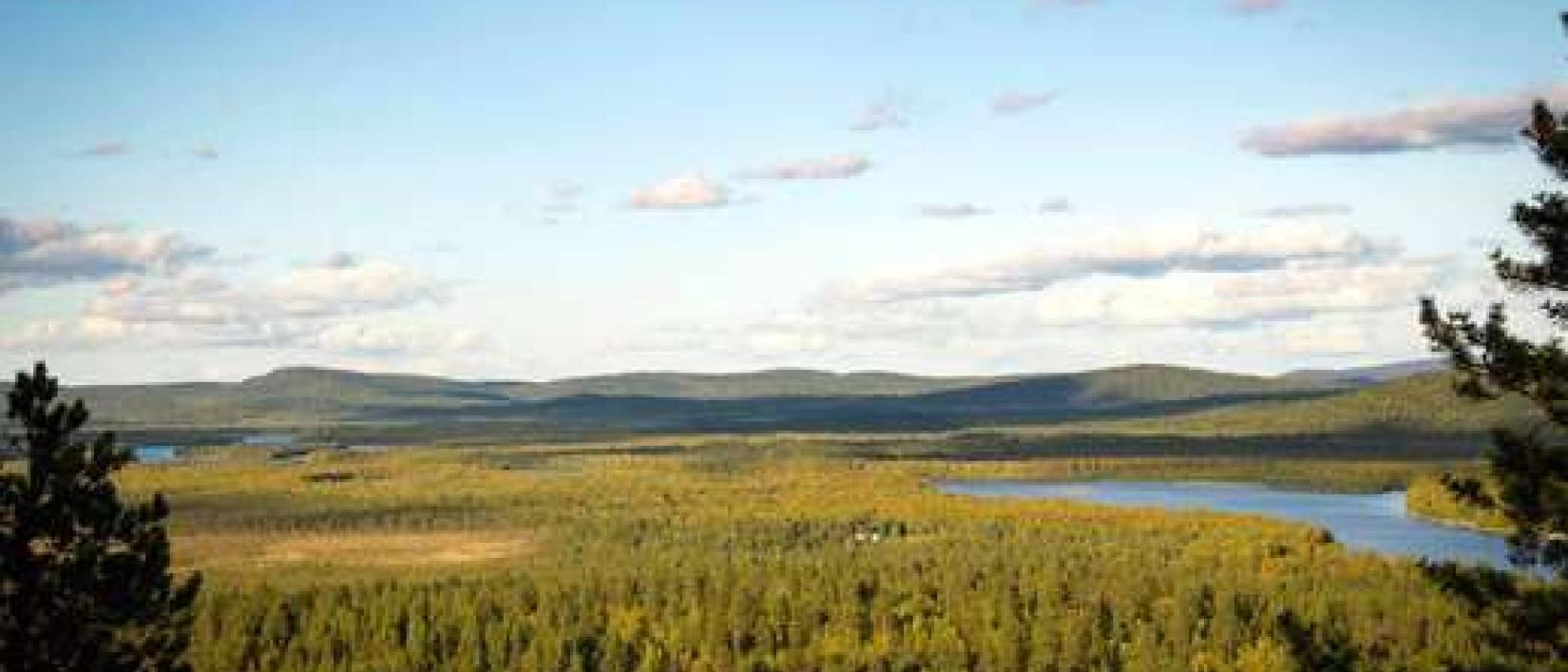 Hoofdfoto Wilderness Camp Ivalo