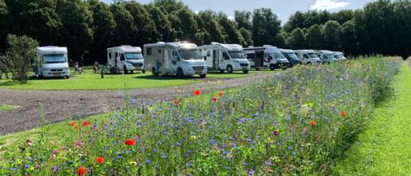 Hoofdfoto Camperplaats Loosterstee