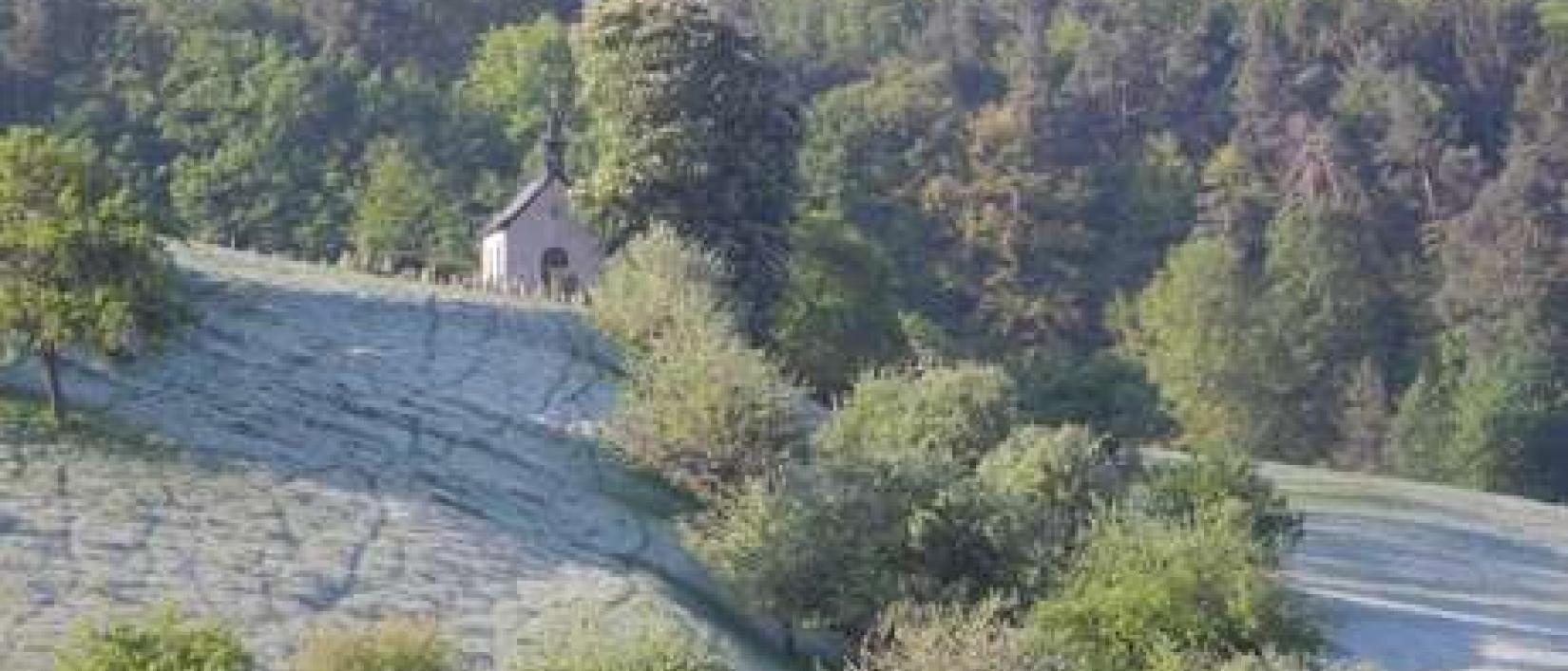 Hoofdfoto Parking Wildlife Hill