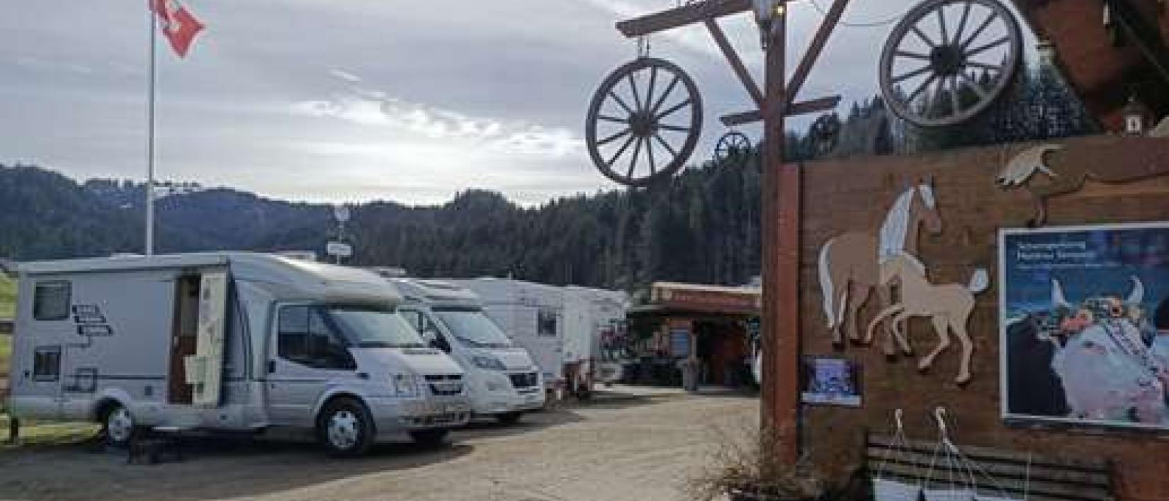 Hoofdfoto Haflinger Hof