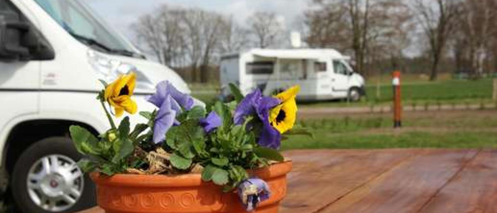 Hoofdfoto Camperplaats Sploder Stea